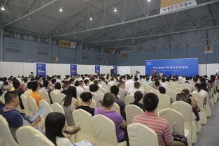 2016成都建博會(huì) 現(xiàn)場(chǎng)亮點(diǎn)紛呈，6月將上演重頭戲